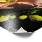 14-inch x11-daglelies foto afdruk (Hoek)