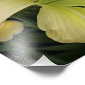 14-inch x11-inch gele daylily foto afdruk (Hoek)