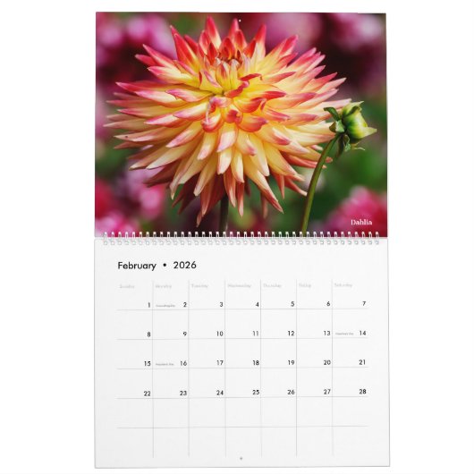 14 photos of flowers kalender (Feb 2026)