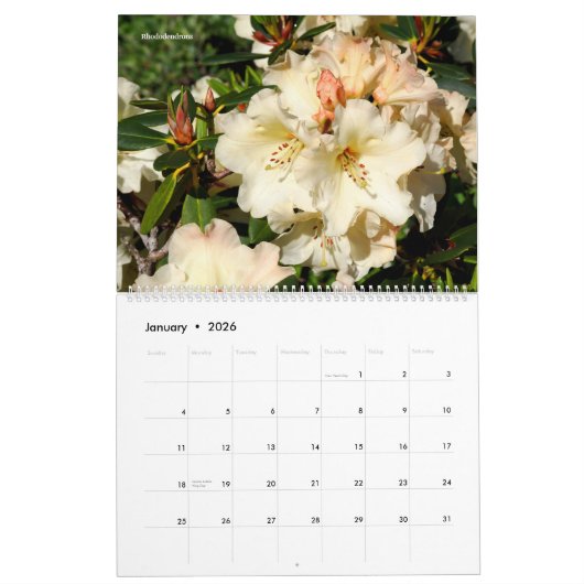 14 photos of flowers kalender (Jan 2026)