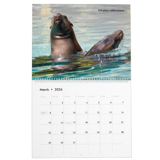 14 photos of mammals kalender (Mar 2026)