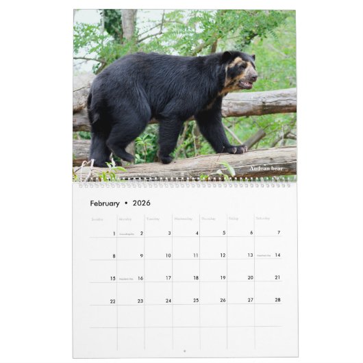 14 photos of mammals kalender (Feb 2026)
