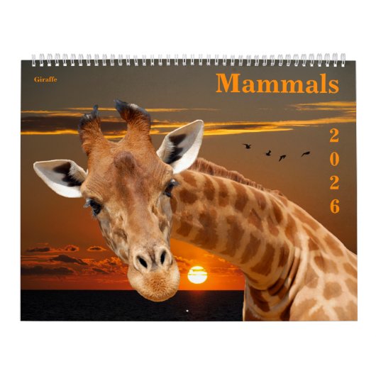 14 photos of mammals kalender (Hoes)