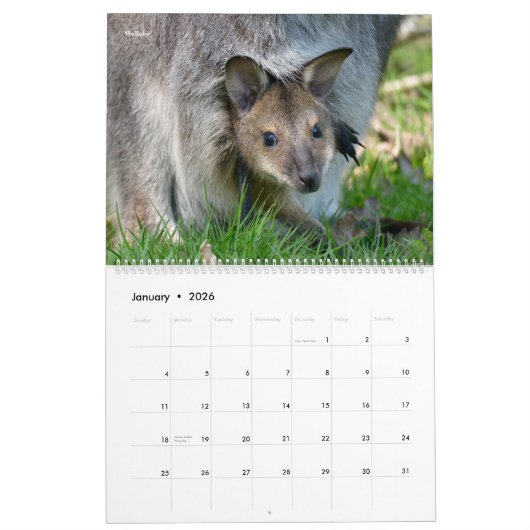14 photos of mammals kalender (Jan 2026)