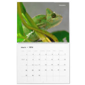 14 Photos of Reptiles Calendar Kalender (Mar 2026)