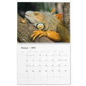 14 Photos of Reptiles Calendar Kalender (Feb 2026)