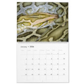 14 Photos of Reptiles Calendar Kalender (Jan 2026)