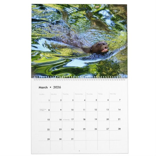 14 photos os animals and water kalender (Mar 2026)
