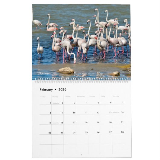 14 photos os animals and water kalender (Feb 2026)