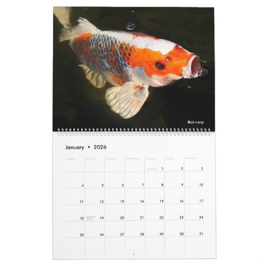 14 photos os animals and water kalender (Jan 2026)