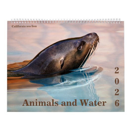 14 photos os animals and water kalender (Hoes)