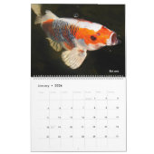 14 photos os animals and water kalender (Jan 2026)