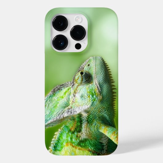 14 pro-hoesje. Case-Mate iPhone case (Achterkant)