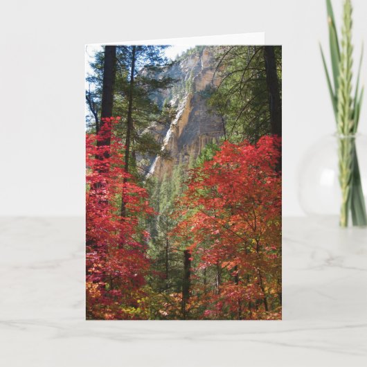 14) Wenskaarten van de herfst van de Fantasie ( Kaart (Voorkant)