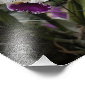 14"x11" Orchideeën Foto Afdruk (Hoek)