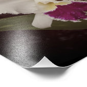 14"x11" Orchideeën Foto Afdruk (Hoek)