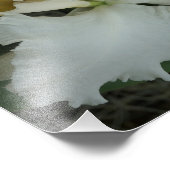 14"x11" orchideeën foto afdruk (Hoek)