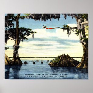 14 x 11 Duikscène, Cypress Florida Poster