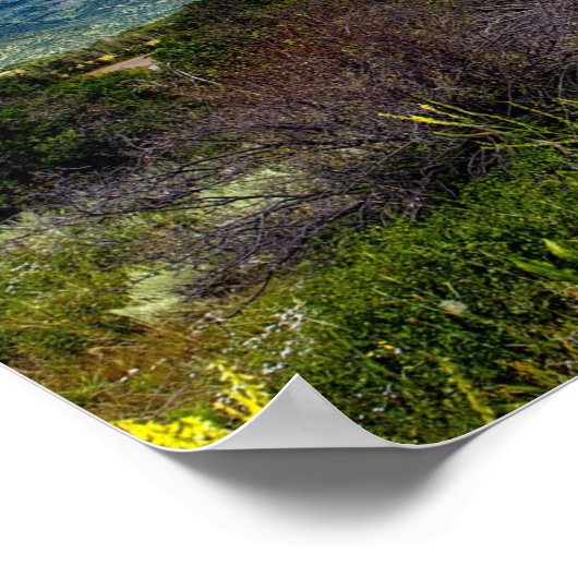 14 x 11 inch, Colorado Poster (Hoek)