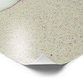 14 x 11 inch, Kodak Professional-fotopapier (Satin Foto Afdruk (Hoek)