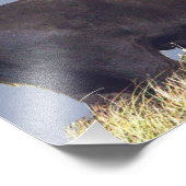 14 x 11 inch, Kodak Professional-fotopapier (Satin Foto Afdruk (Hoek)