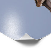 14 x 11 inch, Kodak Professional-fotopapier (Satin Foto Afdruk (Hoek)