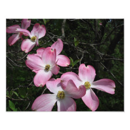 14 x 11-inch roze duoghout foto afdruk