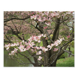 14 x 11-inch roze duoghout foto afdruk