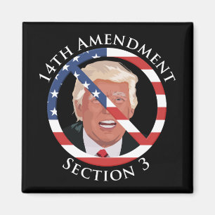14e amendement Anti-Trump Magneet