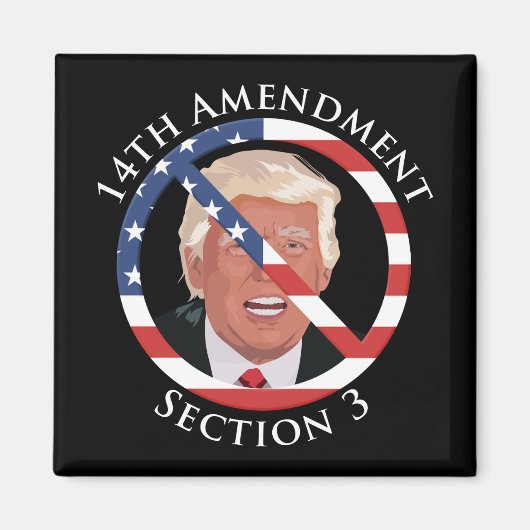 14e amendement Anti-Trump Magneet