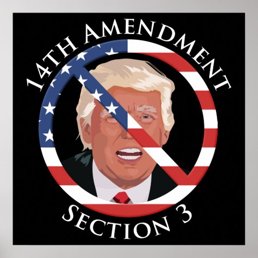 14e amendement Anti-Trump Poster (Voorkant)