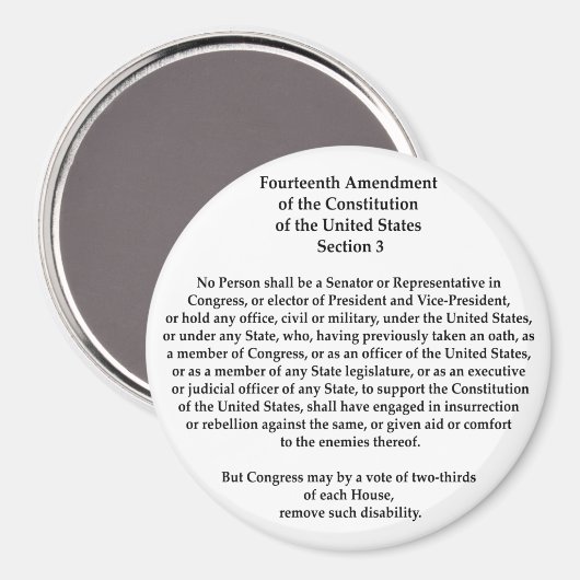 14e wijziging Afdeling 3 Magneet (Voorkant / Achterkant)