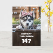 14th Birthday Cute and Funny Husky Tub Kaart (Gele Bloem)