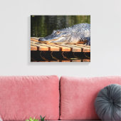 14x11 Alligator bij Homosassa Springs Wildlife Sta Canvas Afdruk (Insitu (Woonkamer))