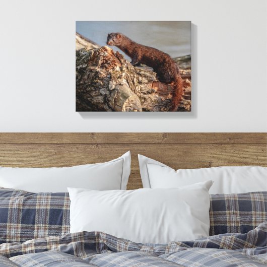 14x11 Amerikaanse gootsteen Canvas Afdruk (Insitu (Slaapkamer))