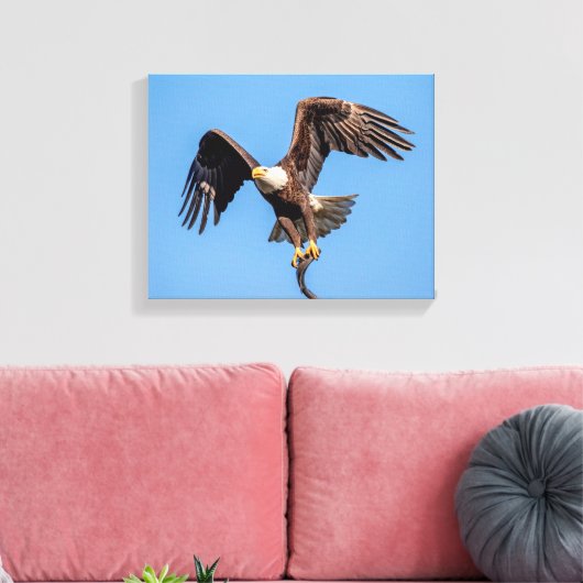 14x11 Bald Eagle met een vis Canvas Afdruk (Insitu (Woonkamer))