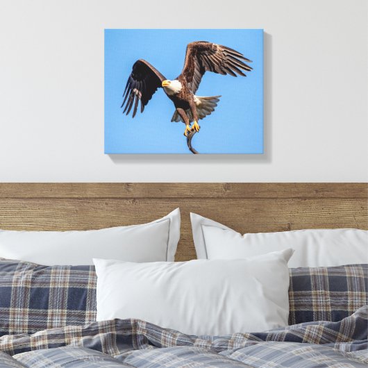 14x11 Bald Eagle met een vis Canvas Afdruk (Insitu (Slaapkamer))