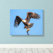 14x11 Bald Eagle met een vis Canvas Afdruk (Insitu (Houten vloer))