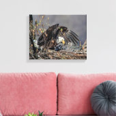 14x11 Bald Eagle met haar baby Canvas Afdruk (Insitu (Woonkamer))
