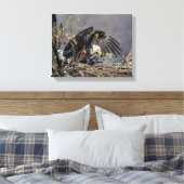 14x11 Bald Eagle met haar baby Canvas Afdruk (Insitu (Slaapkamer))