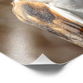 14x11 Barn Owl Foto Afdruk (Hoek)