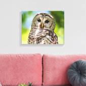 14x11 Barred Owl Canvas Afdruk (Insitu (Woonkamer))
