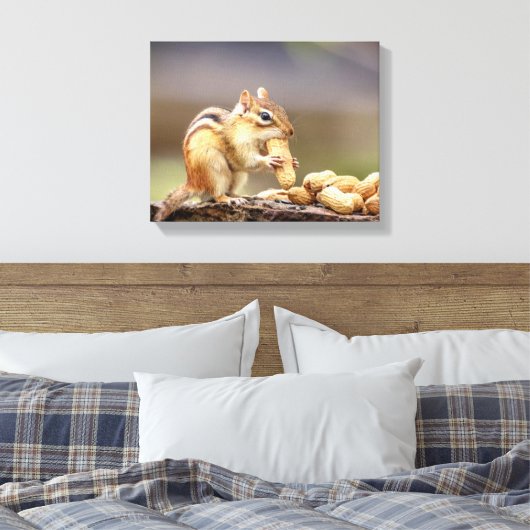 14x11 Chipmunk die een pinda eet Canvas Afdruk (Insitu (Slaapkamer))