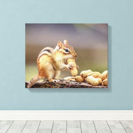 14x11 Chipmunk die een pinda eet Canvas Afdruk (Insitu (Houten vloer))