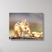 14x11 Chipmunk die een pinda eet Canvas Afdruk (Voorkant)