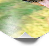 14x11 Duitse Shepard Foto Afdruk (Hoek)