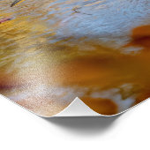 14x11 Great Blue Heron, omhuld met herfst foliage Foto Afdruk (Hoek)