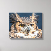 14x11 Great Horned Owl Portret Canvas Afdruk (Voorkant)
