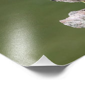 14x11 Green Heron op een log Foto Afdruk (Hoek)