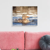 14x11 Mallard Duck in Downing Park Canvas Afdruk (Insitu (Woonkamer))